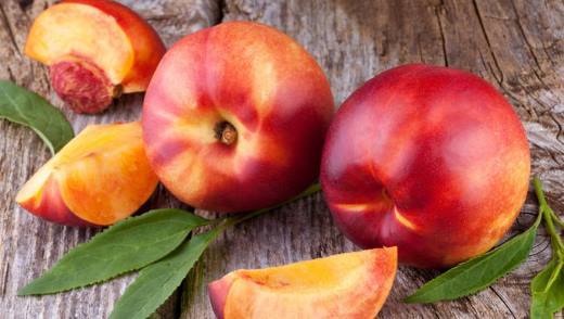 Особенности выращивания гибрида персика и абрикоса с фото