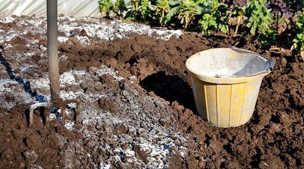 Как и зачем проводят известкование почвы на грядках и в саду с фото