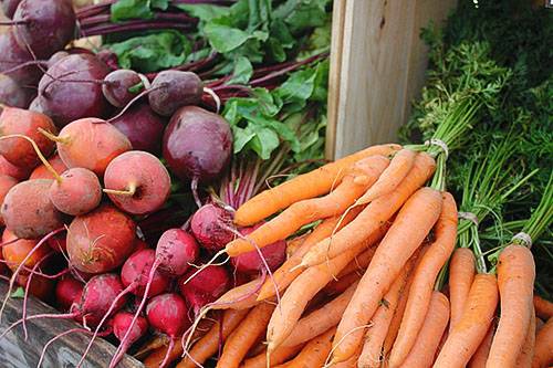 Как сохранить морковь и свеклу на зиму с фото