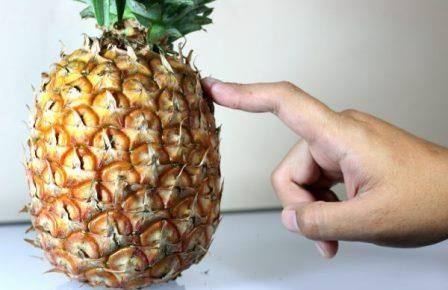 Как правильно выбрать ананас с фото
