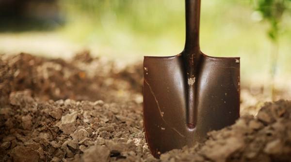 Какие лопаты нужны в саду и огороде? - фото