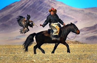 Выходцы из степей  монгольские лошади с фото