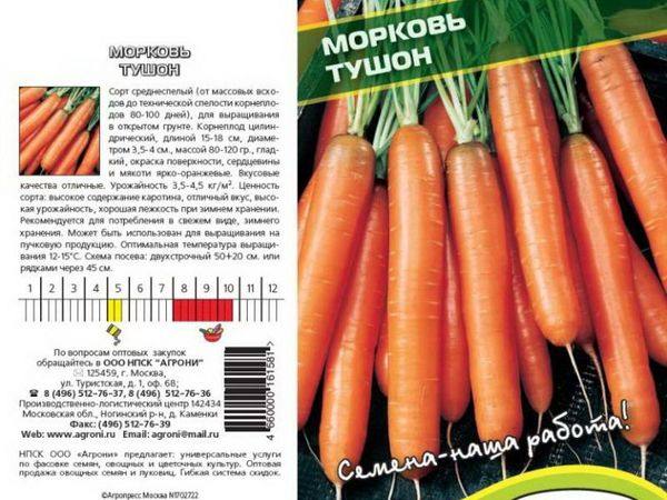 Лучшие сорта моркови для открытого грунта с фото