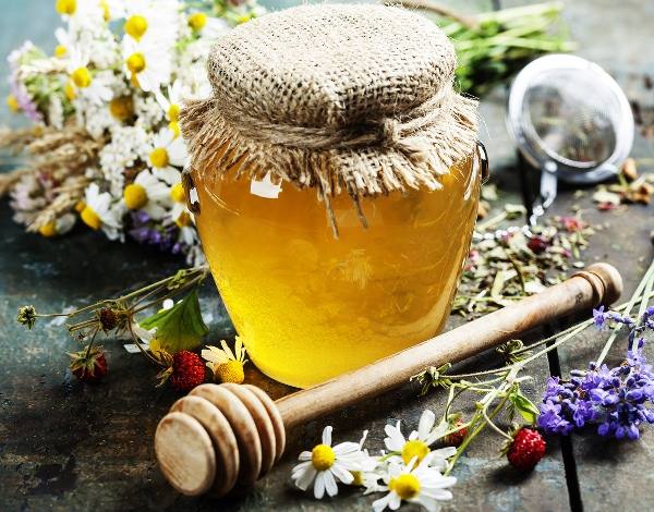 Полезные свойства мёда из разнотравья с фото