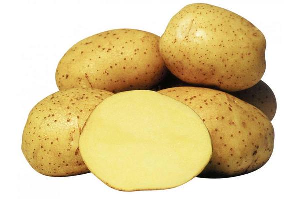 Ранние сорта картофеля: фото, описание, посадка и уход - фото