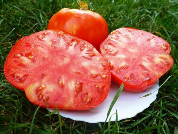 Сорта крупных помидоров - описание с фото
