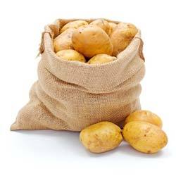 Как организовать хранение клубней картофеля и обеспечить им правильную темп ... - фото