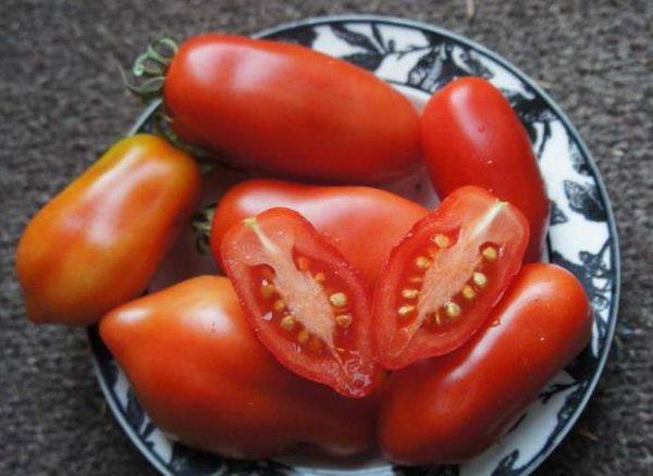 Характеристика и описание помидор сорта Дамские пальчики с фото