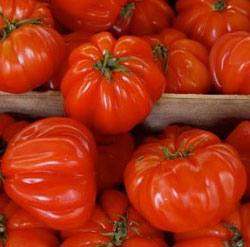 Сорт Пузата хата  томат с необычными плодами с фото