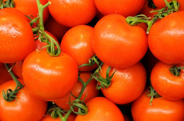 Сибирский Скороспелый - раннеспелый сорт томата - фото