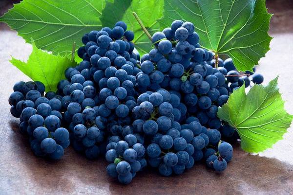 Польза винограда: витамины в черном винограде - фото